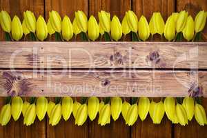 Composite image of yellow tulips