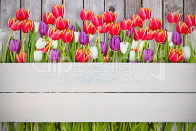 Composite image of flowers