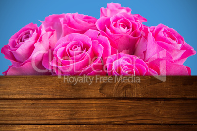 Composite image of pink flowers