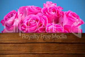 Composite image of pink flowers