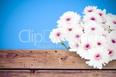 Composite image of flowers