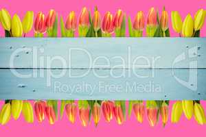 Composite image of yellow tulips