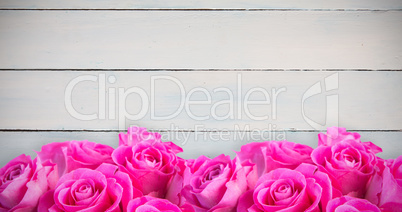 Composite image of pink flowers