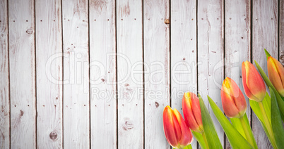 Composite image of tulip flowers