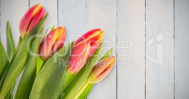 Composite image of tulips
