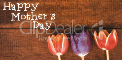 Composite image of happy mothers day