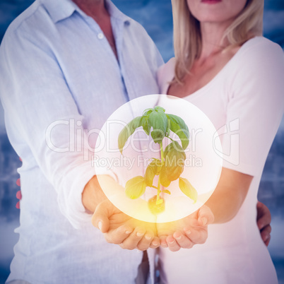 Composite image of scientist holding basil plant