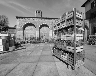 Sant Ambrogio church in Milan