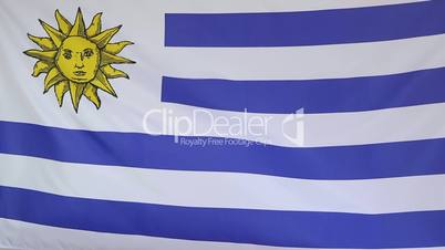 Fabric flag of Uruguay in slow motion