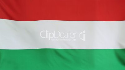 Moving fabric Hungary flag