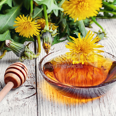 Dandelion honey