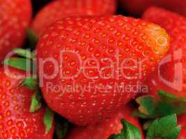 Erdbeere in XXL