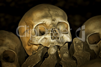 Human Skull and Bones