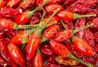 Heap of Ripe and Dried Red Peppers Piri-Piri