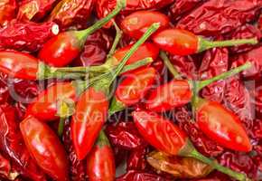 Heap of Ripe and Dried Red Peppers Piri-Piri
