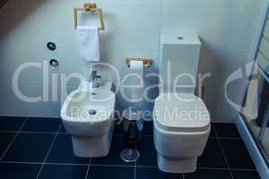 Toilet and Bidet in a Modern Bathroom