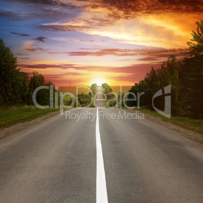 road between trees and beautiful sunset