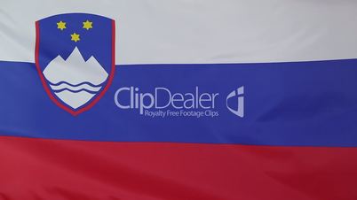 Closeup of national flag of Slovenia
