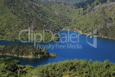 Scenery in the Marlborough Sounds, Onahau Bay