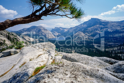 Yosemite National Park