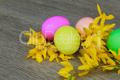 Easter eggs on a flowering tree branch