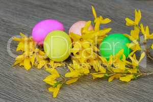 Easter eggs on a flowering tree branch