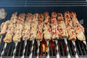 fresh hot grilled chicken shish kebab barbecue on grid over