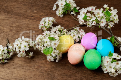 Easter eggs on a flowering tree branch