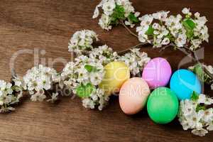 Easter eggs on a flowering tree branch