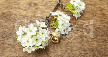 Flowering branch with white delicate  surface. Declaration of love, spring.  greeting. Wedding bouquet,
