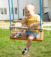 Cute little boy on swing