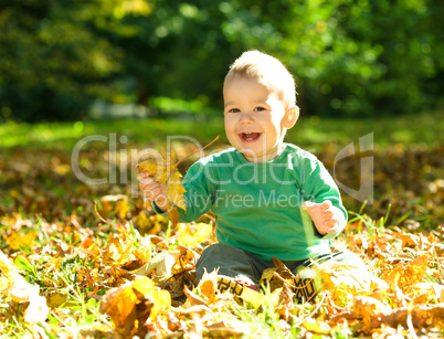 Little boy is playing in autumn park