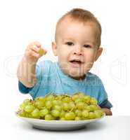 Little boy is eating grapes