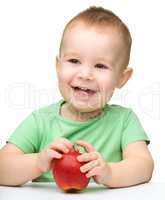 Portrait of a cute cheerful little boy