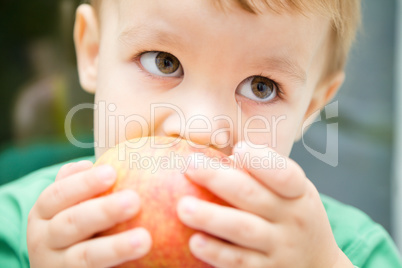 Portrait of a cute little boy biting apple