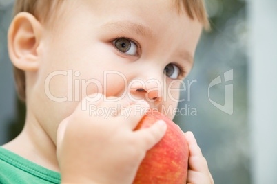 Portrait of a cute little boy biting apple