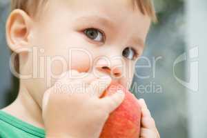 Portrait of a cute little boy biting apple