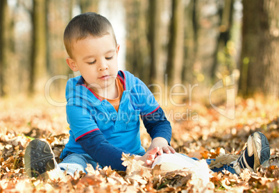 Little boy is reading book