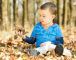 Little boy is reading book