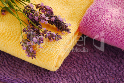 Colorful towels