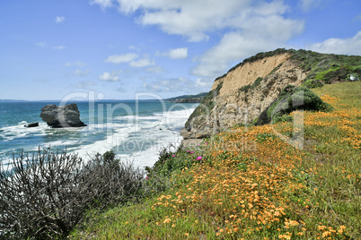 Pacific Coastline near Arch Rock/Bear Valley trail in Point Reyes National Seashore