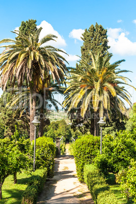 Monserrato park in spring sassari italy