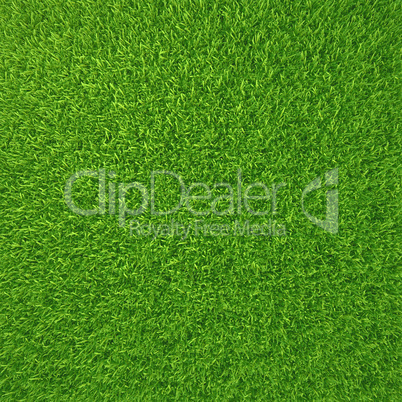 Green grass. natural background texture. fresh spring green grass