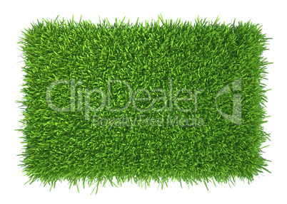 Green grass. natural background texture. fresh spring green grass