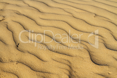 The sand of the desert at sunset .