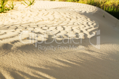 The sand of the desert at sunset .