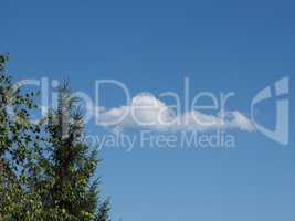 Tree and blue sky with clouds background