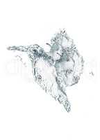Eisvogel aus Wasser