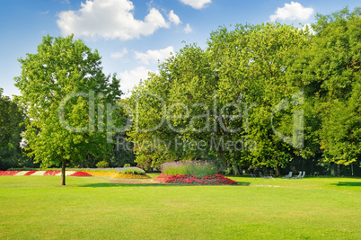 summer park with beautiful flowerbeds