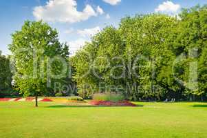 summer park with beautiful flowerbeds